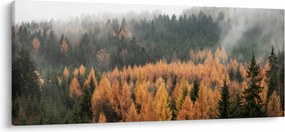 Kép - őszi erdő (120x50 cm)