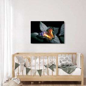 Pillangó képe (90x60 cm)