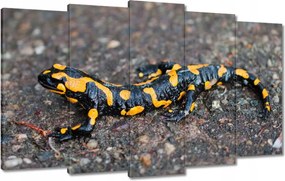 Vászonkép 100x60 Foltos szalamandra