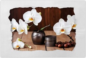 Poszterek 120x80 Fehér orchideák