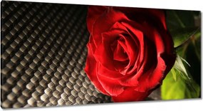 Vászonkép 115x55 Vörös rózsa levelekkel