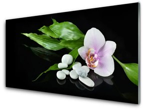 Akrilkép Virág Stones levelek 140x70 cm