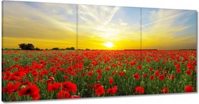 Vászonkép 60x30 Pipacsmező nyugattal