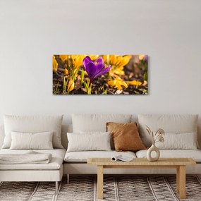 Lila virágok képe (120x50 cm)