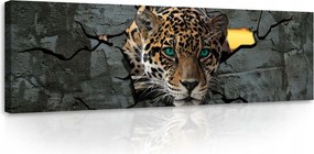 Vászonkép 145x45pop-art jaguár Zöld szemek a résen át