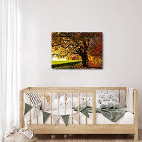 Egy őszi fa képe (üvegen) (70x50 cm)