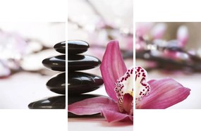 Masszázs kövek és orchideák képe (90x60 cm)