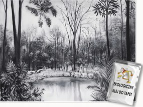 Fotótapéta Erdő Fekete-fehér Természet Hálószoba Nappali Tapéta Flizelina 150x105