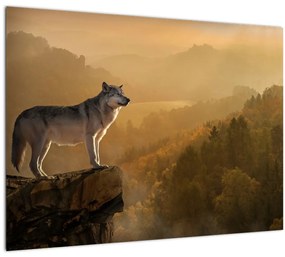 Egy farkas képe a sziklán (70x50 cm)