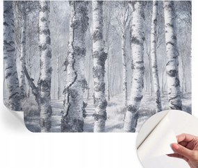 Öntapadós fotótapéta Nappaliba és Hálószobába Fagyos természet 312x219