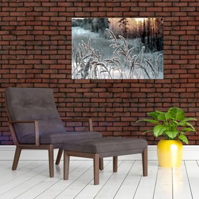 Kép - Fagyott rét (90x60 cm)