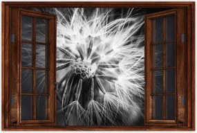 Poszterek 90x60 Pitypang Virág Virágok