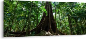 Kép - A fa gyökerei (120x50 cm)