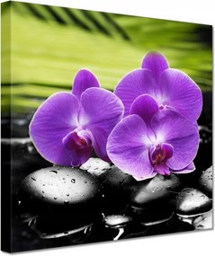 Festmények 20x20 Orchideák a köveken