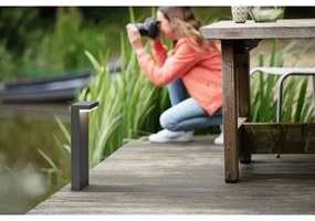 Philips - LED Kültéri lámpa BUSTAN LED/3,8W/230V 77 cm IP44