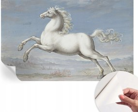 Öntapadós Dekoratív Fotótapéta Hálószobába Lovak ugrásban 416x254 cm