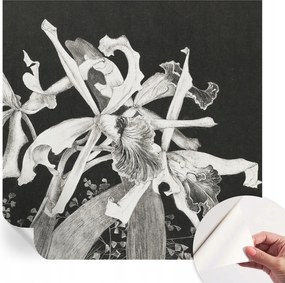 Öntapadós fali fotótapéta Hálószoba Orchidea illusztráció 250x250