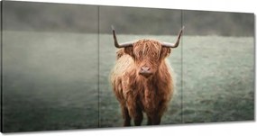 Vászonkép 120x60 Mint a szarvak Hegyi rét