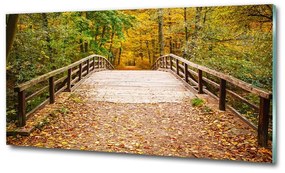 Üvegfotó Híd az őszi erdőben osh-55256739