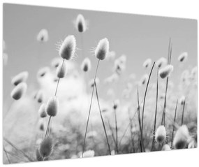 Kép - Boho nyuszi farok fű (90x60 cm)