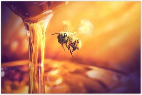 Poszterek 120x80 Csöpögő méz befőttes üvegből