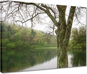 Vászonkép 40x30 Fa Folyó Erdő