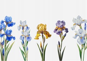 Flizelin tapéta Divatos 3D fali ragasztó Írisz virágok 312x219 ragasztó