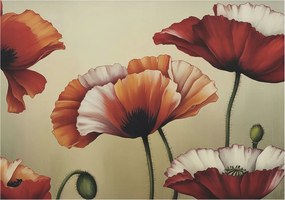 Fotótapéta Dekoratív Fali Tapéta Képekkel Vidám pipacsok 312x219