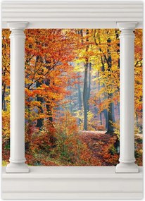 Poszterek 50x70 Arany ősz