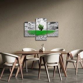 Kép - egy darab természet a városban (90x60 cm)