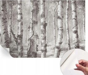 Fotótapéta Dekoratív Fali Tapéta Képekkel Nyírerdő 104x70