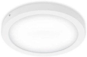 Briloner 7141-416 - LED Mennyezeti lámpa FIRE LED/21W/230V