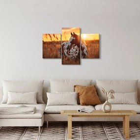 Kép - Ló naplementében (90x60 cm)