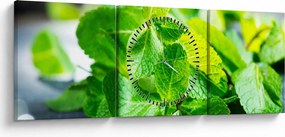 A menta képe (órával) (90x30 cm)