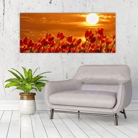 Kép egy virágzó mező tulipánokkal (120x50 cm)