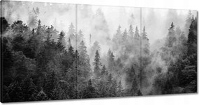 Vászonkép 120x60 Tájkép Szürke Hegyek Köd