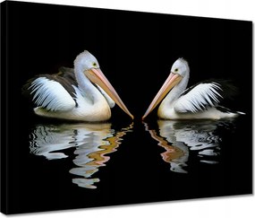 Vászonkép 40x30 Kormoránok