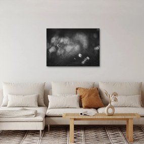 Kép - Mezei fű (70x50 cm)