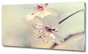 Egyedi üvegkép Cseresznyevirág osh-102906126