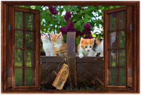 Poszterek 60x40 Cica Cicák