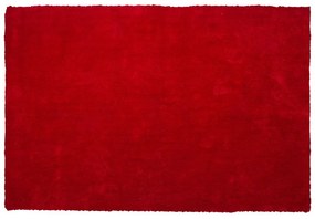 Piros hosszú szálú szőnyeg 140 x 200 cm DEMRE Beliani