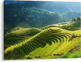 Kép - Rice Terraces koncert (70x50 cm)