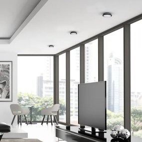 LED Kültéri mennyezeti lámpa MARLON LED/12W/230V 4000K IP54 fekete