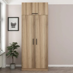 Kale Oak - 2237