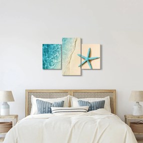 Kép - Tengeri csillag a tengerparton (90x60 cm)
