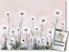 Fotótapéta Flizelina Kert Rét Virágok Tavasz Nyár Margaréták 250x175 ragasztó