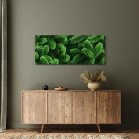 Kép - Tűlevelű gallyak (120x50 cm)
