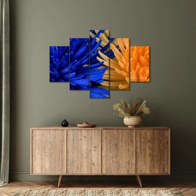 Részletes virágkép (150x105 cm)