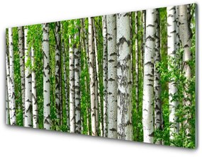 Üvegkép Nature Plant Erdei fák 100x50 cm 2 fogas