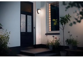 Philips 17383/93/PN - Kültéri fali lámpa  KISKADEE 1xE27/42W/230V IP44